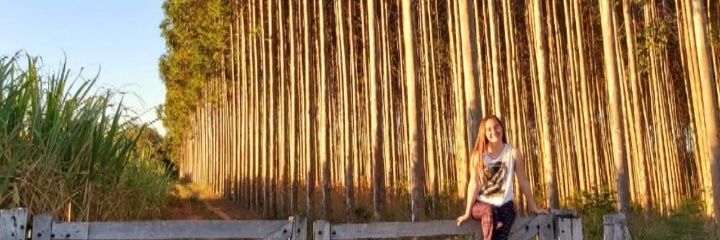 AniSanchezGo's profile banner image