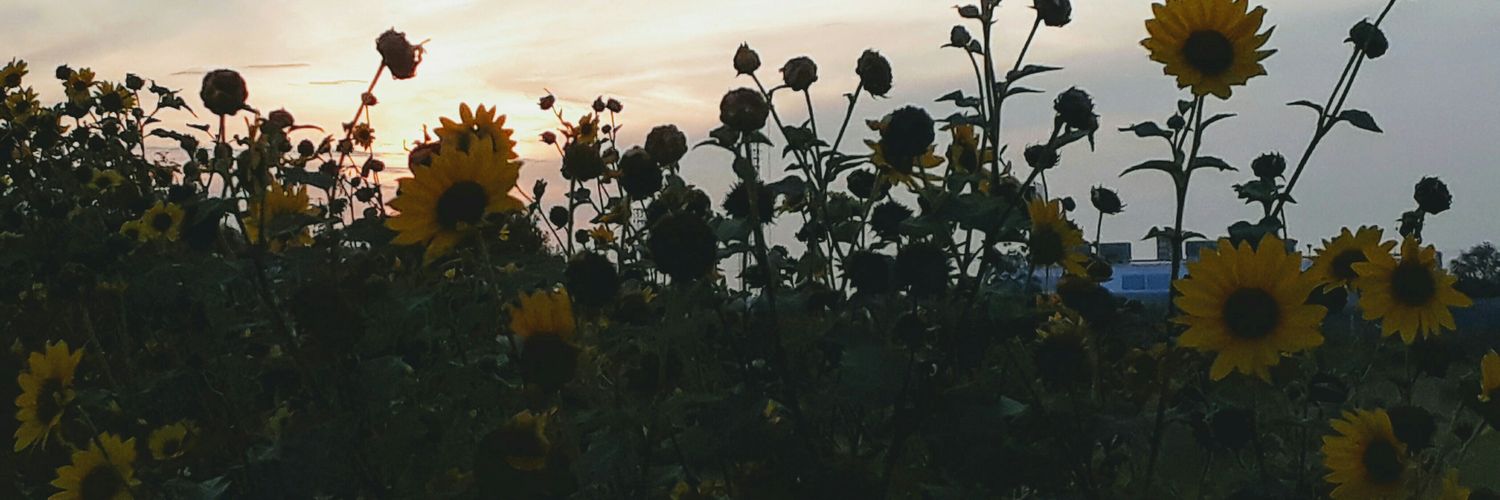 SaxOhby's profile banner image