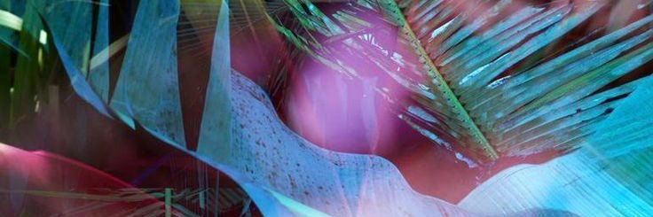 artdealerr's profile banner image