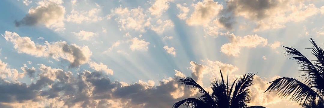 layal yaacoub banner