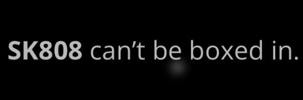 SK8TheGreat's banner