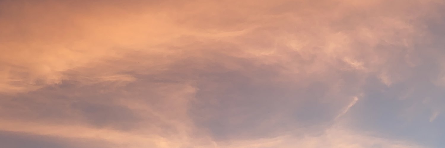 AntoineVls's profile banner image
