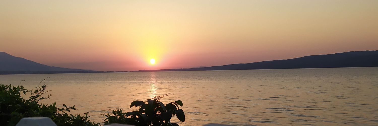 ozbek62's profile banner image
