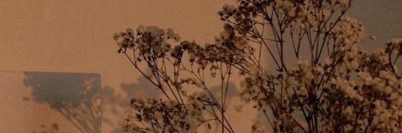 anaabgr_'s profile banner image