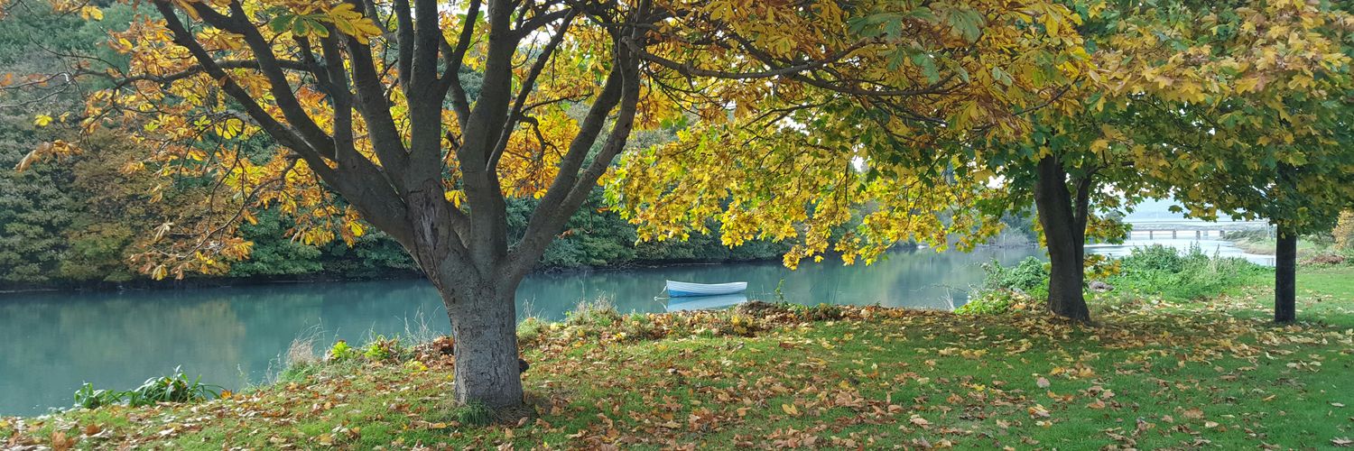 anna_connolly's profile banner image
