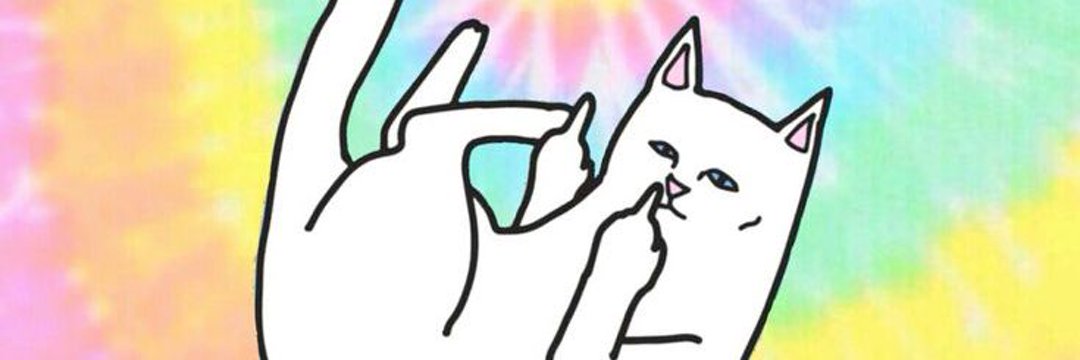 Alviness's profile banner image