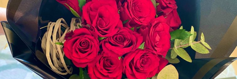 𝓐𝓭𝓪𝓬𝓪 ツ banner