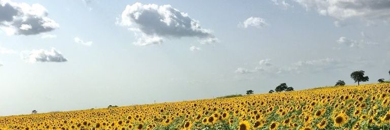 mhmmed193's profile banner image