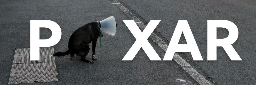 Gwxn_'s profile banner image