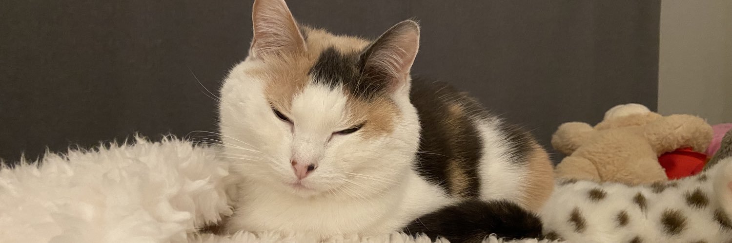 Faikenzie's profile banner image