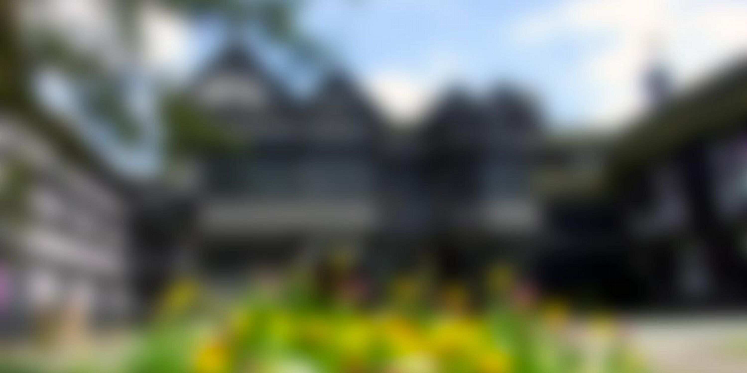 thisisbramhall's profile banner image