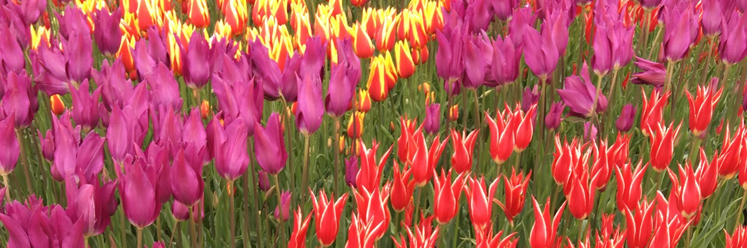 gabi532's profile banner image