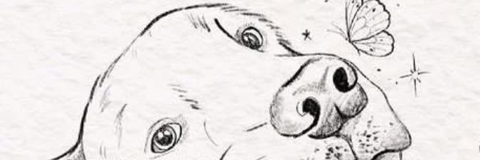 marcelaeriika's profile banner image