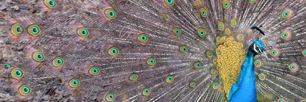 JohnMGrimshaw's profile banner image