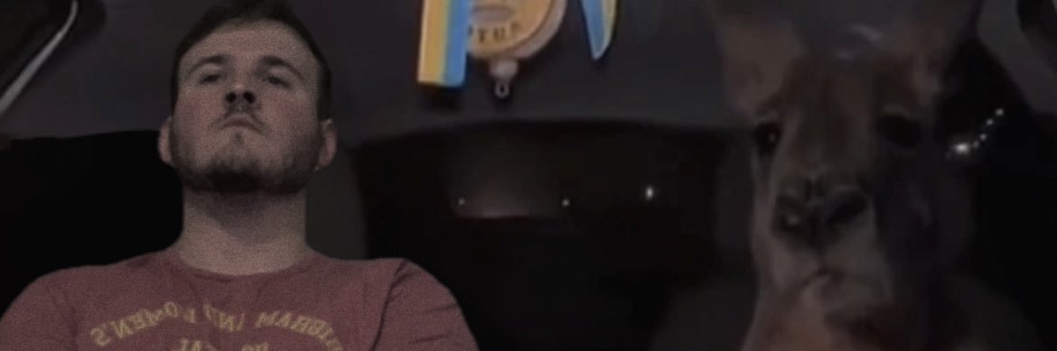 Matt Marguerite banner