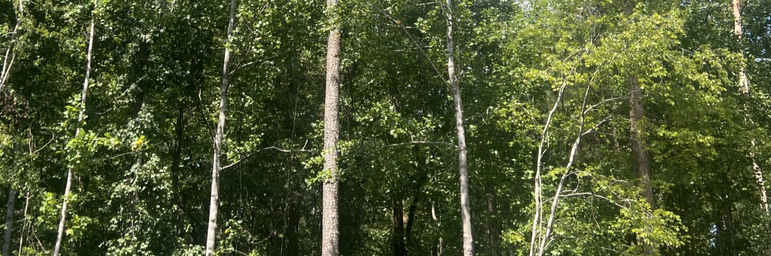 k i m banner