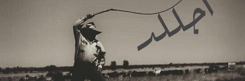 4bodl's profile banner image