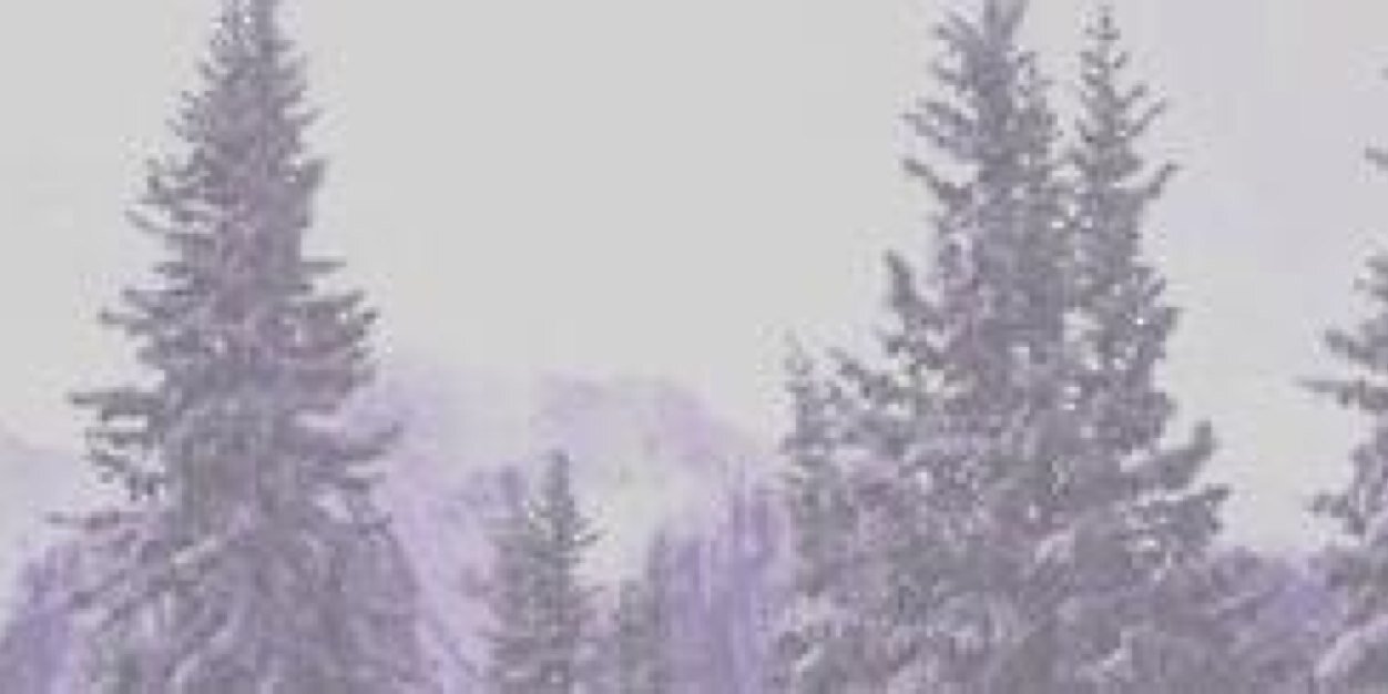 louismdgdr's profile banner image