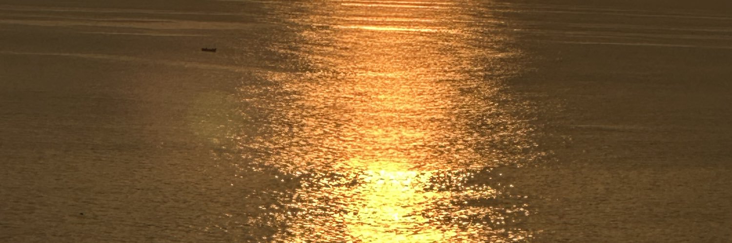 Ruthie Ballon Pinkasovich banner