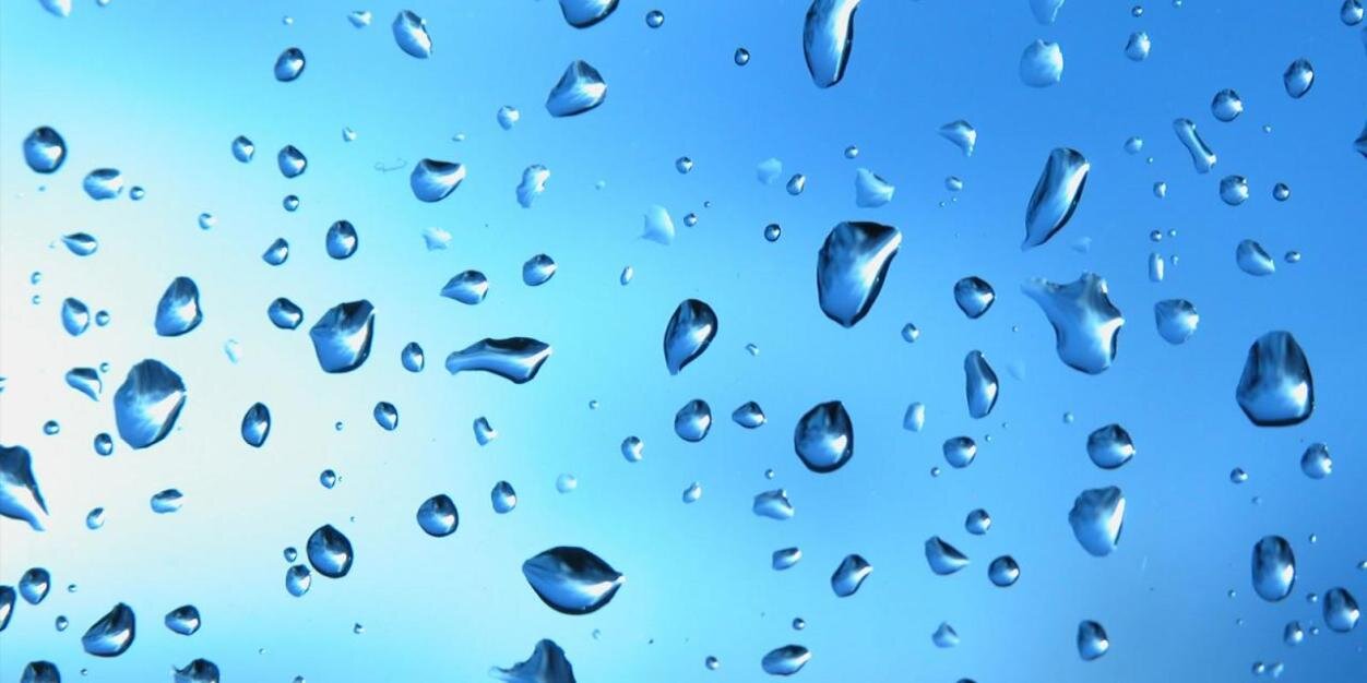 cataranegui's profile banner image