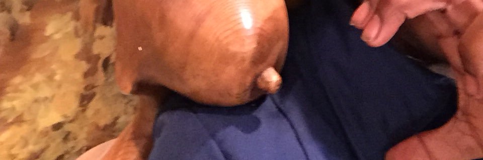 Trucocet's profile banner image