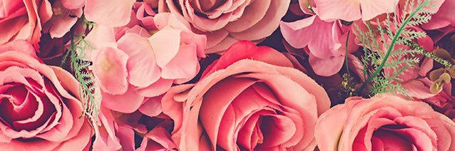 bintu_c's profile banner image