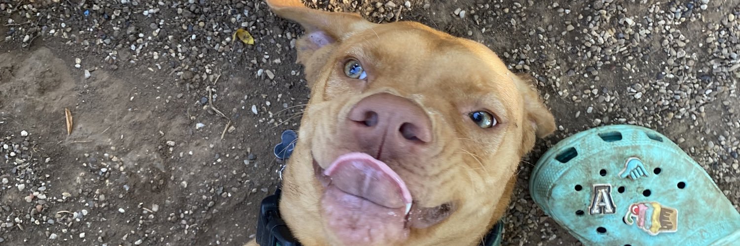 jorddym200's profile banner image
