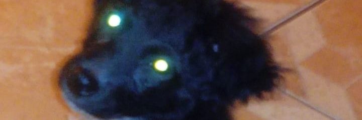 alanblitzx's profile banner image