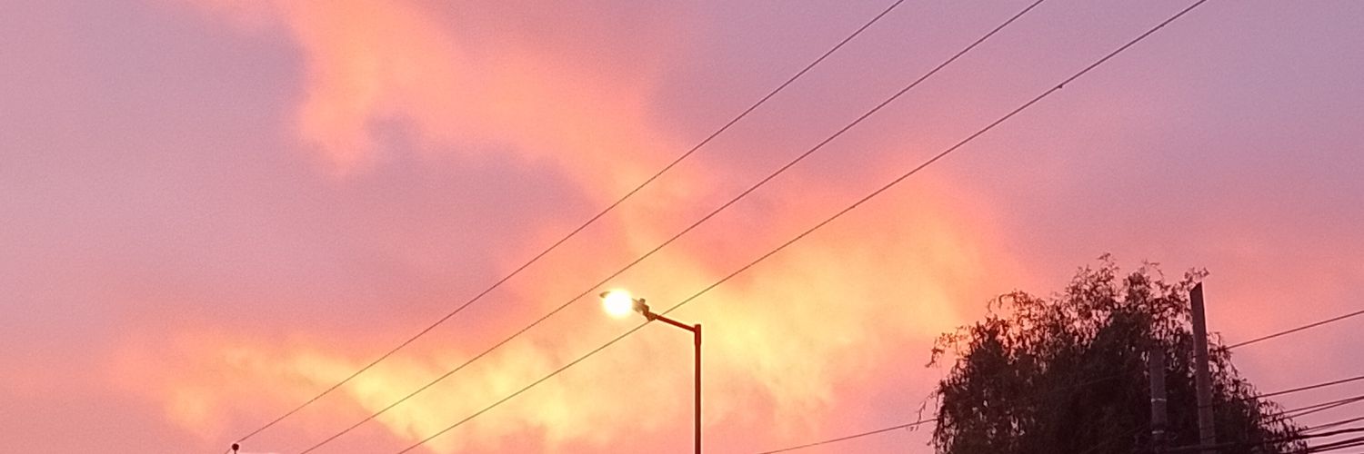 mujerdecapri's profile banner image
