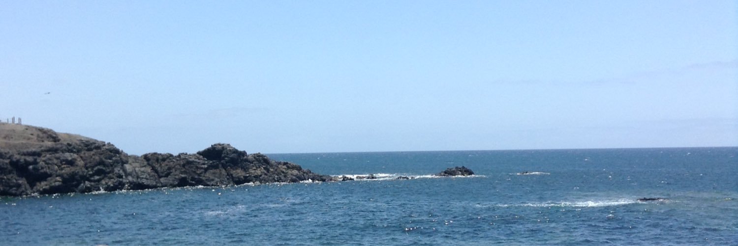 ThousandFilms banner