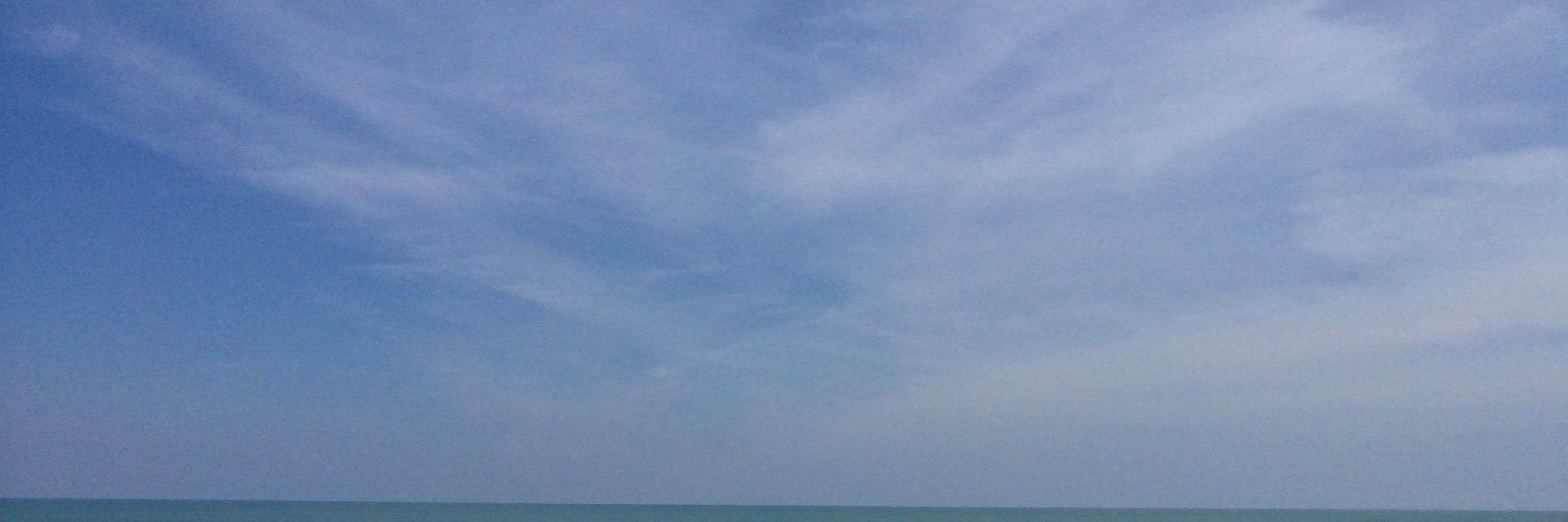 lyonsness's profile banner image