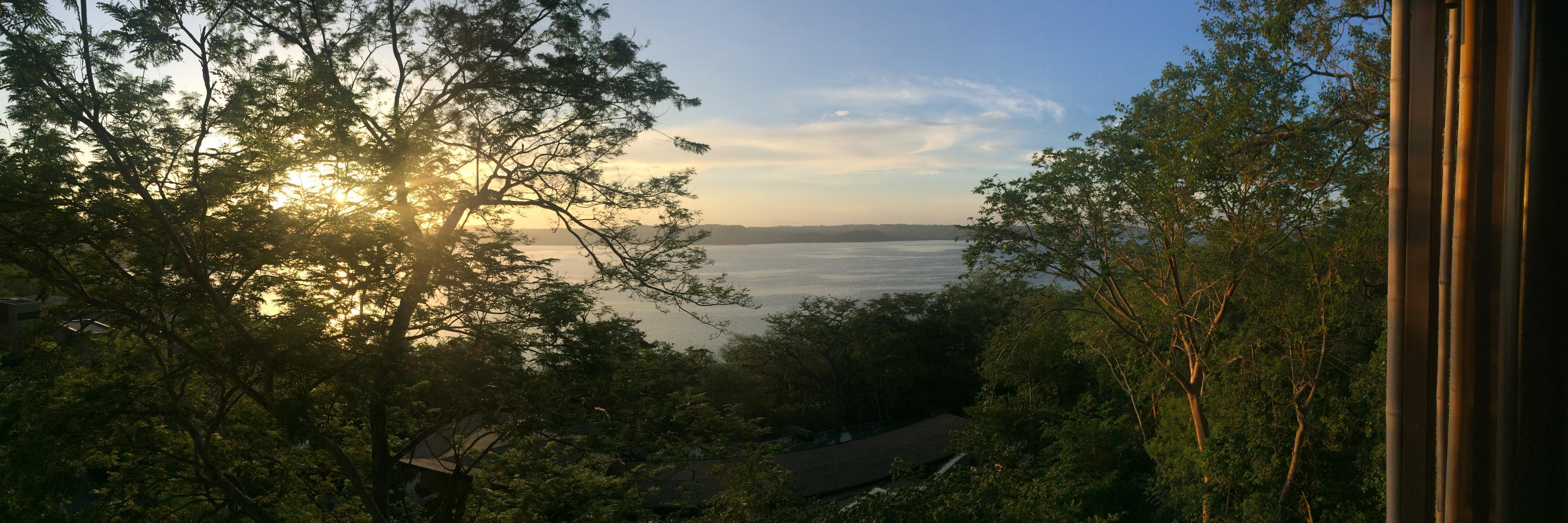 Edward Frindt banner