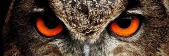 poisson0r's profile banner image