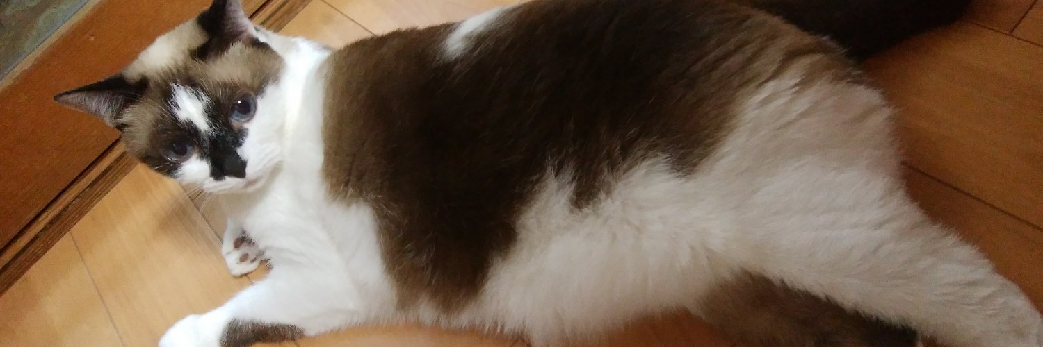 くろれっつ banner