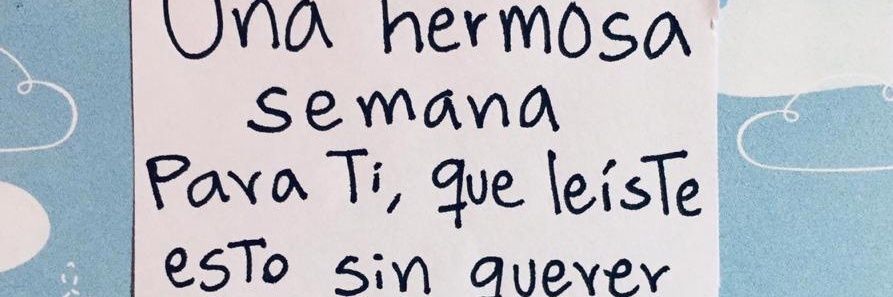 lia_lesly's profile banner image