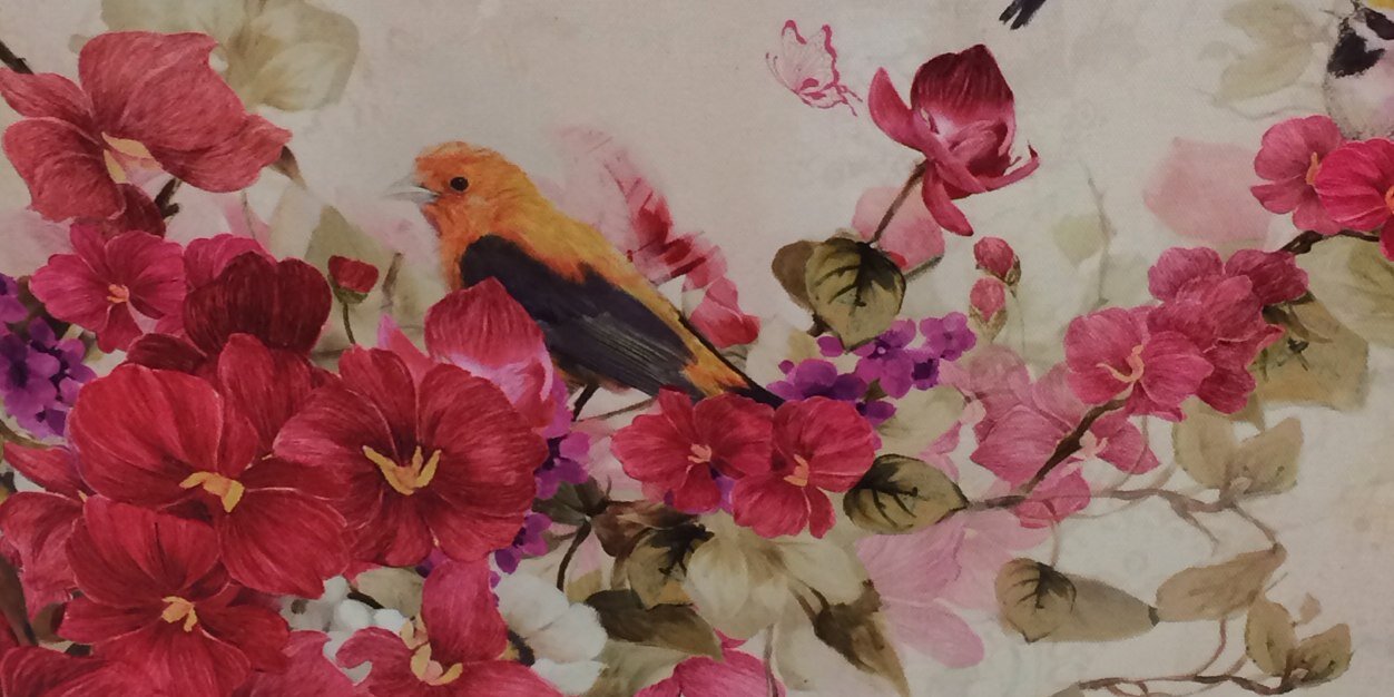 nbrasch's profile banner image