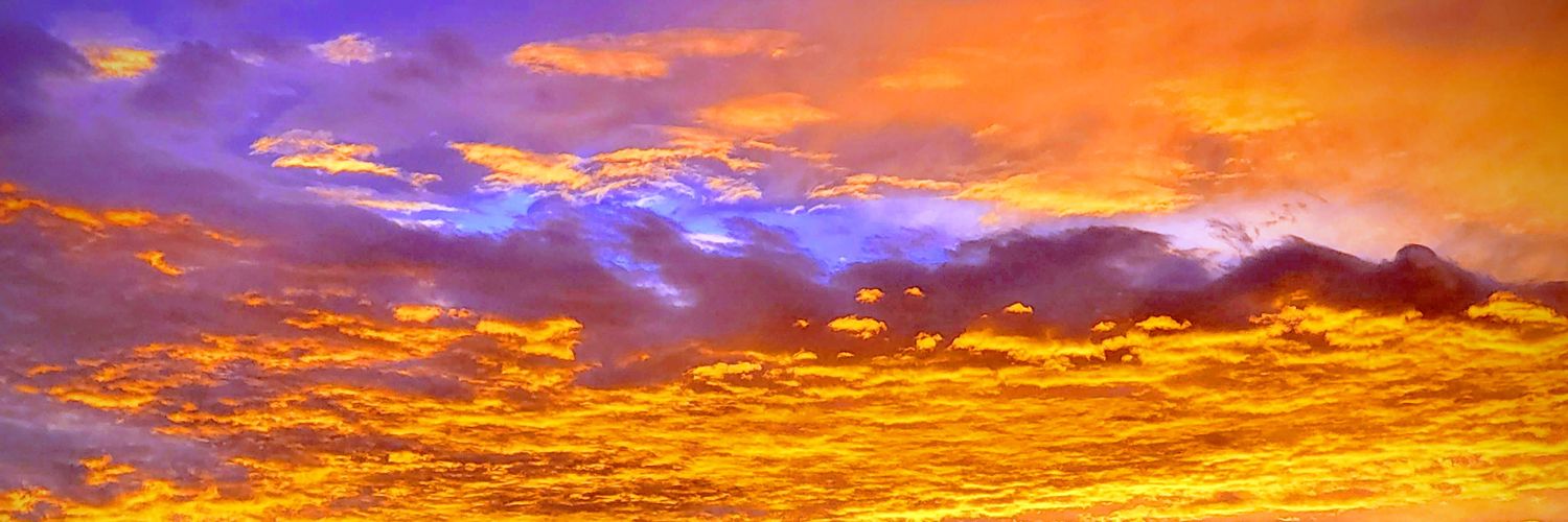 DWilson911's profile banner image