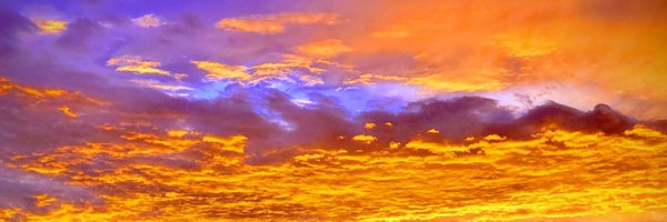 DWilson911 Profile Banner