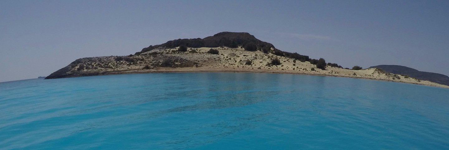 Noemon Acragas banner