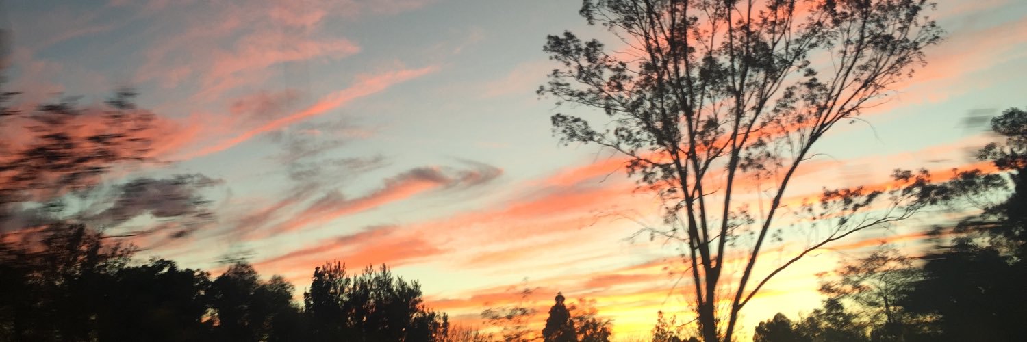 lulygodinez's profile banner image