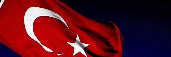 birdanisman_'s profile banner image
