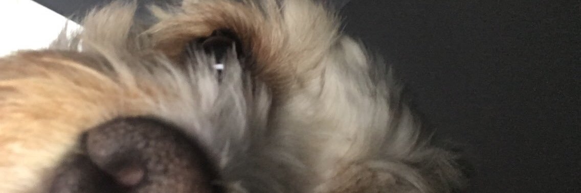 chloestretton99's profile banner image