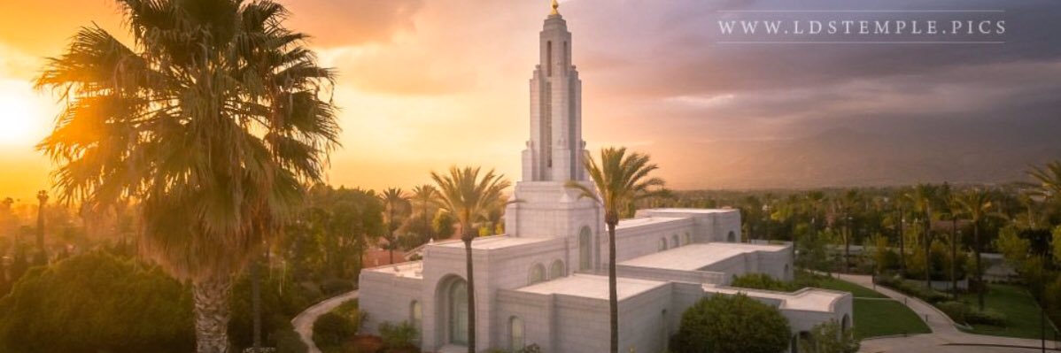 blakey snakey banner