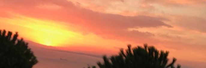 dijvarduman's profile banner image