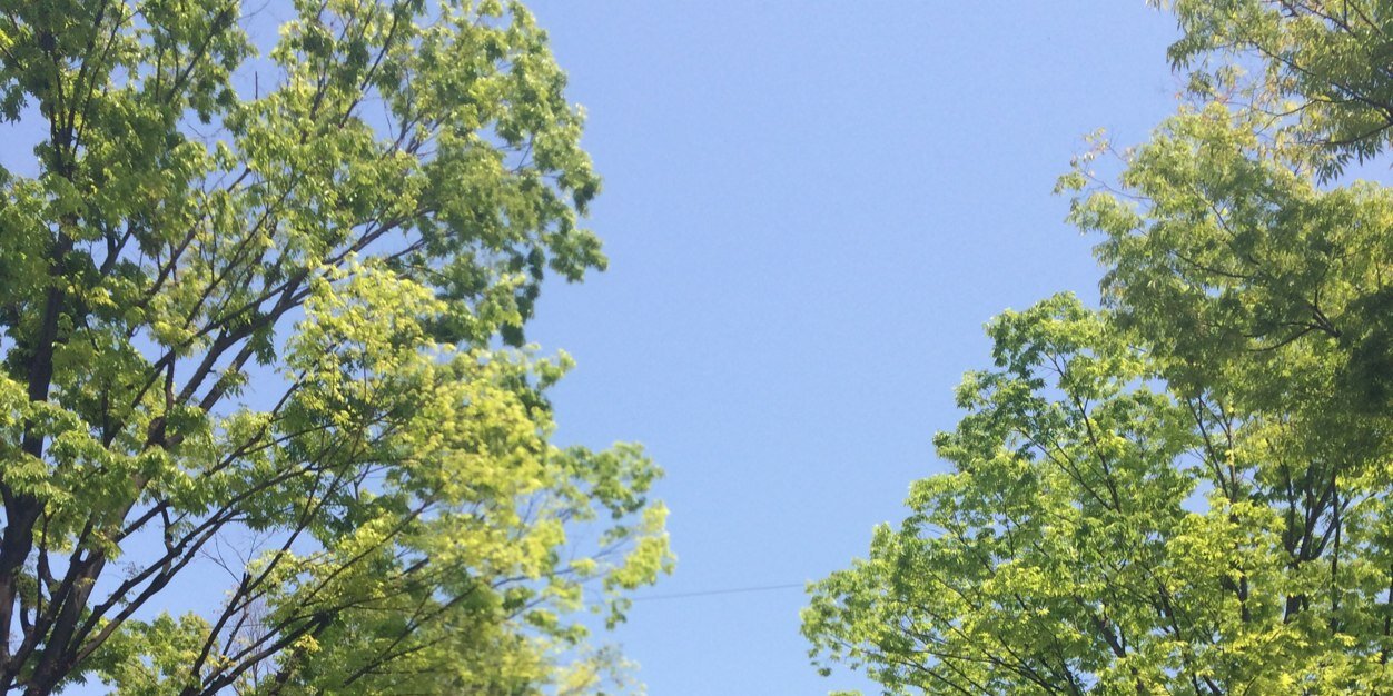 LessAdvance's profile banner image