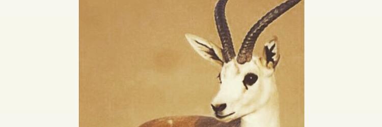 BandrKw's profile banner image