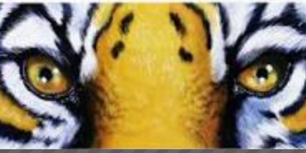 B_Pearce17's profile banner image
