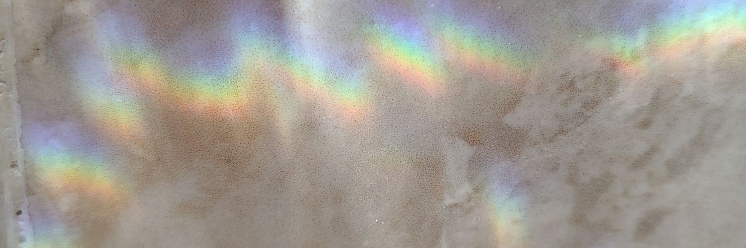 RossyAlvarezG's profile banner image