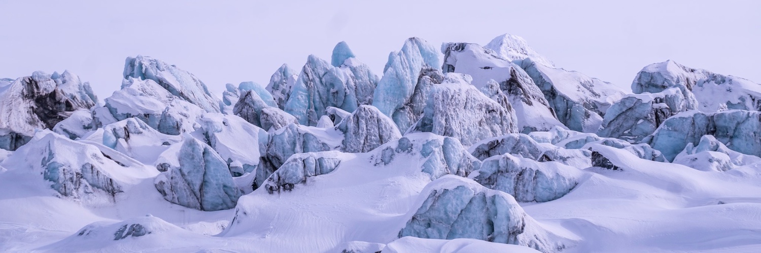 International Cryosphere Climate Initiative's banner