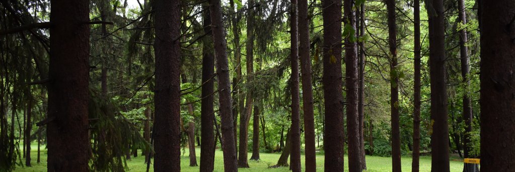 emf0x's profile banner image